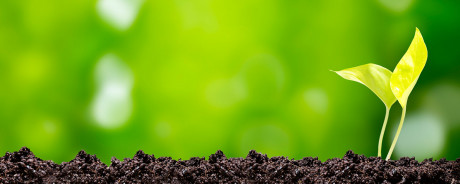Growth Track