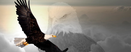 bg-header-leadership2